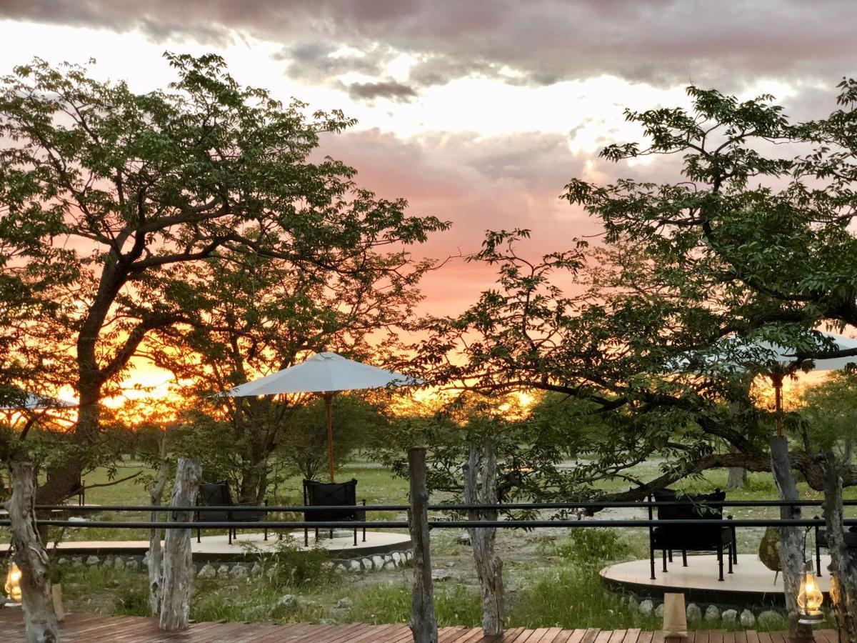 אוקאוקוג'ו Etosha Oberland Lodge מראה חיצוני תמונה