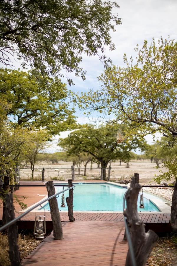 אוקאוקוג'ו Etosha Oberland Lodge מראה חיצוני תמונה